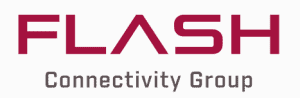 Bapas Logo Flash